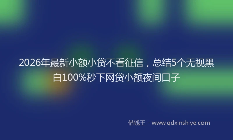 2026年最新小额小贷不看征信，总结5个无视黑白100%秒下网贷小额夜间口子