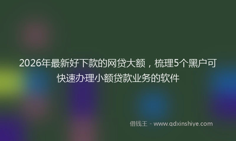 2026年最新好下款的网贷大额，梳理5个黑户可快速办理小额贷款业务的软件