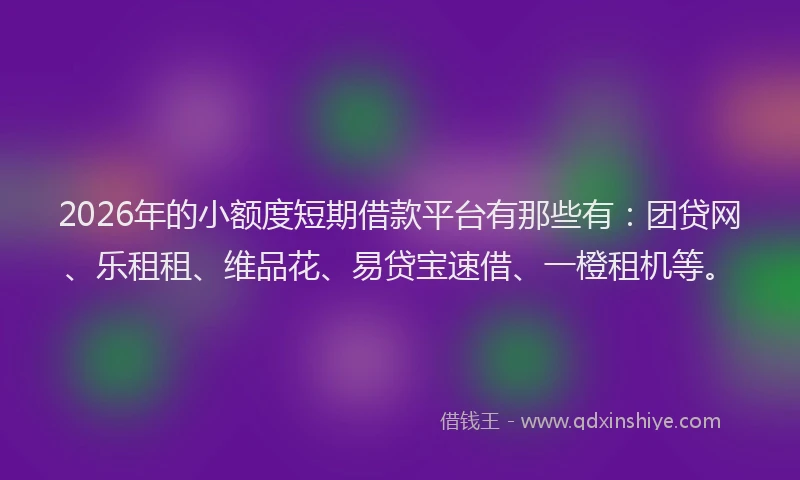 2026年的小额度短期借款平台有那些有：团贷网、乐租租、维品花、易贷宝速借、一橙租机等。