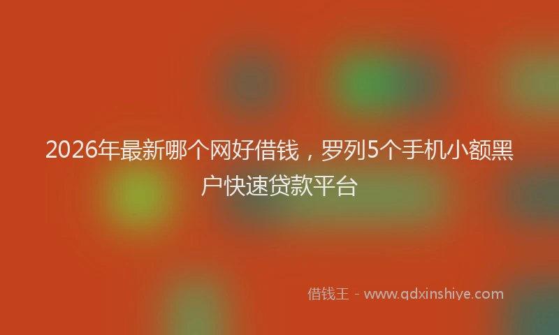 2026年最新哪个网好借钱，罗列5个手机小额黑户快速贷款平台