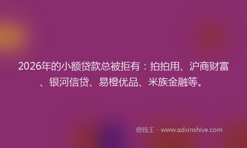 2026年的小额贷款总被拒有：拍拍用、沪商财富、银河信贷、易橙优品、米族金融等。