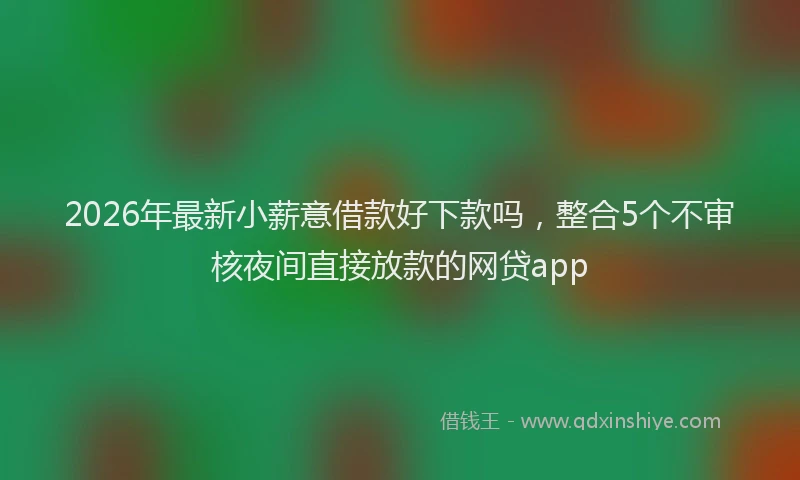 2026年最新小薪意借款好下款吗，整合5个不审核夜间直接放款的网贷app