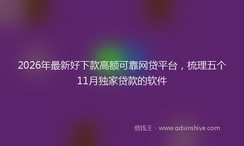 2026年最新好下款高额可靠网贷平台，梳理五个11月独家贷款的软件
