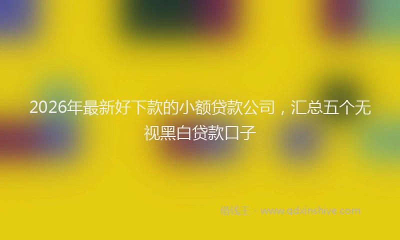 2026年最新好下款的小额贷款公司，汇总五个无视黑白贷款口子
