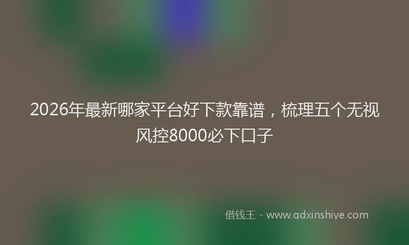 2026年最新哪家平台好下款靠谱,梳理五个无视风控8000必下口子