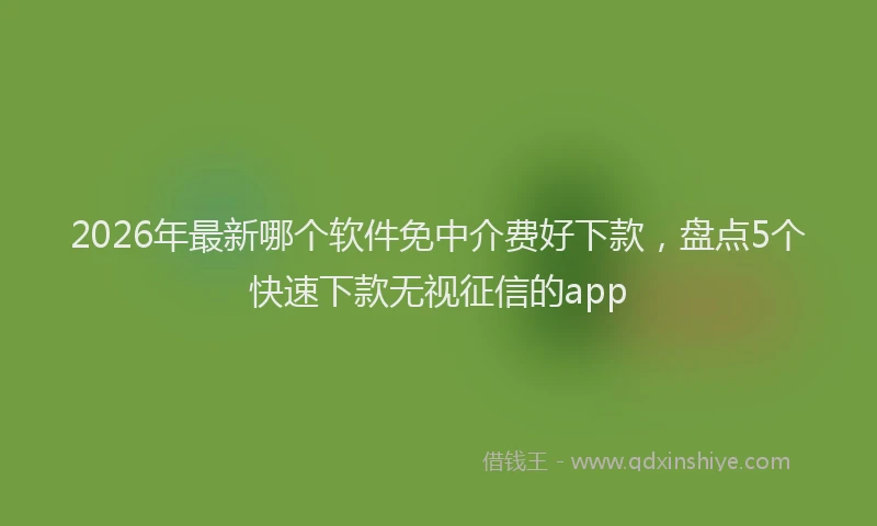 2026年最新哪个软件免中介费好下款，盘点5个快速下款无视征信的app