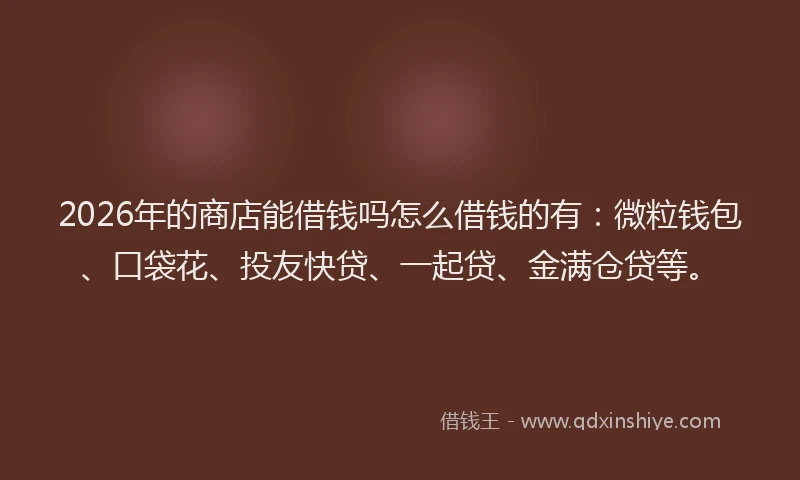 2026年的商店能借钱吗怎么借钱的有:微粒钱包、口袋花、投友快贷、一起贷、金满仓贷等。