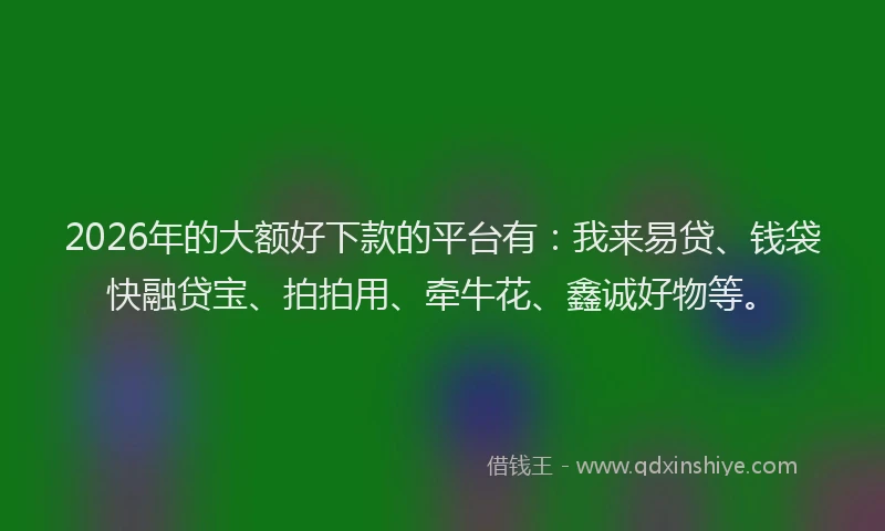 2026年的大额好下款的平台有：我来易贷、钱袋快融贷宝、拍拍用、牵牛花、鑫诚好物等。