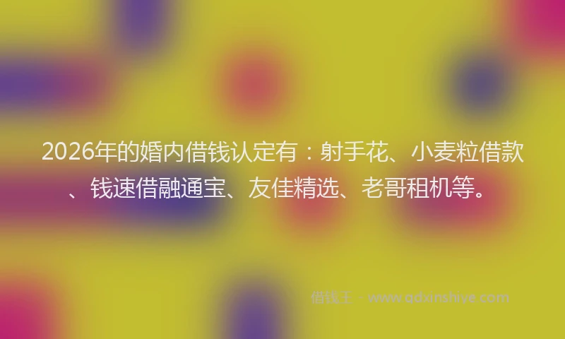 2026年的婚内借钱认定有：射手花、小麦粒借款、钱速借融通宝、友佳精选、老哥租机等。