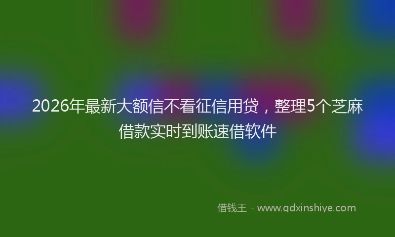 2026年最新大额信不看征信用贷，整理5个芝麻借款实时到账速借软件