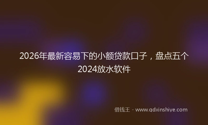 2026年最新容易下的小额贷款口子，盘点五个2024放水软件