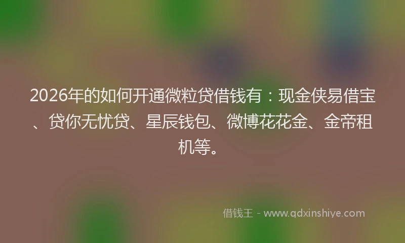 2026年的如何开通微粒贷借钱有：现金侠易借宝、贷你无忧贷、星辰钱包、微博花花金、金帝租机等。