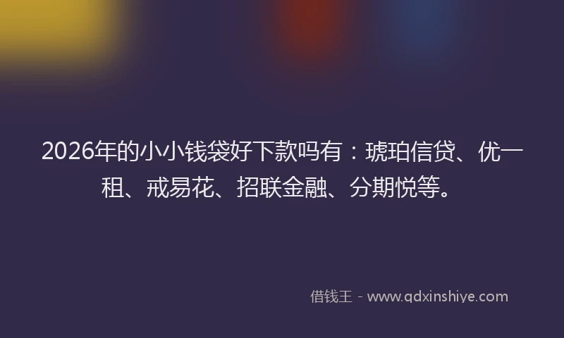 2026年的小小钱袋好下款吗有：琥珀信贷、优一租、戒易花、招联金融、分期悦等。