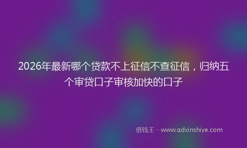 2026年最新哪个贷款不上征信不查征信，归纳五个审贷口子审核加快的口子