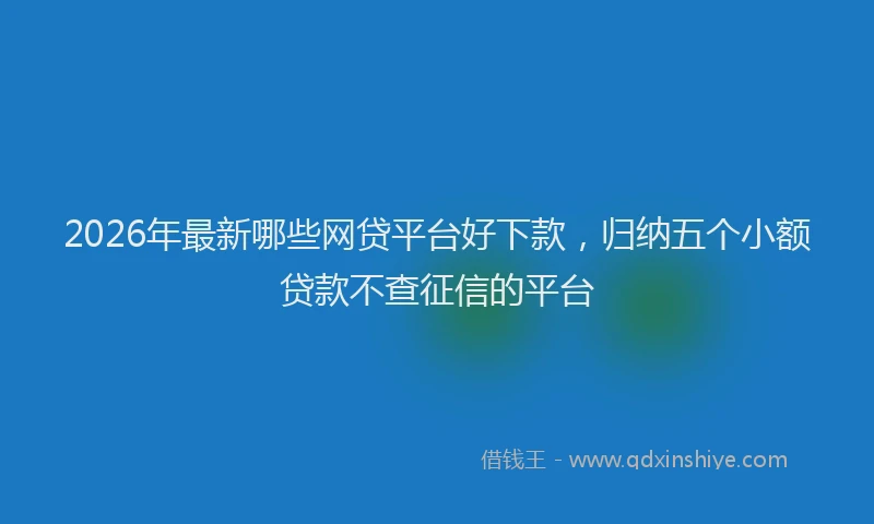2026年最新哪些网贷平台好下款，归纳五个小额贷款不查征信的平台