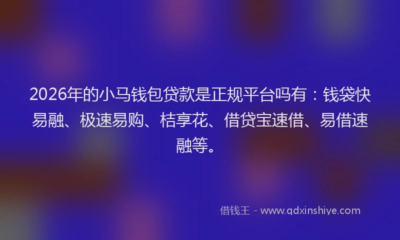 2026年的小马钱包贷款是正规平台吗有：钱袋快易融、极速易购、桔享花、借贷宝速借、易借速融等。