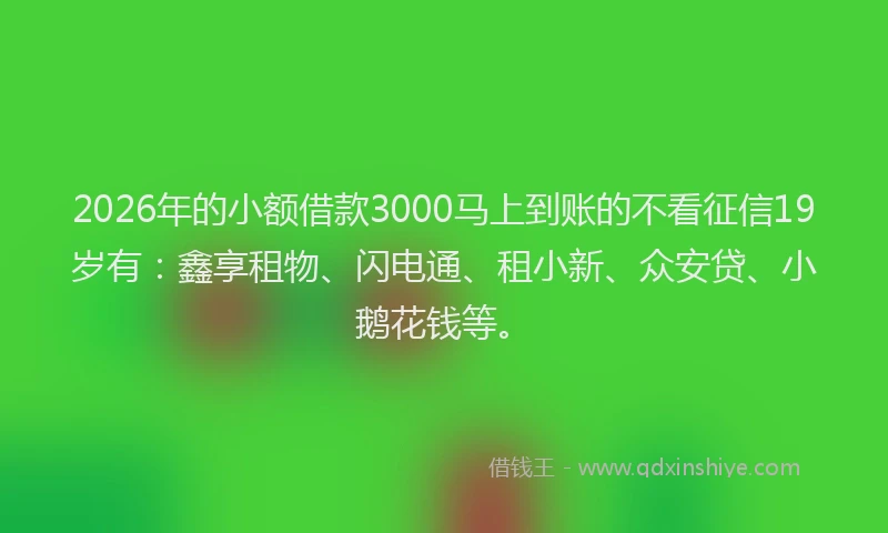 2026年的小额借款3000马上到账的不看征信19岁有：鑫享租物、闪电通、租小新、众安贷、小鹅花钱等。