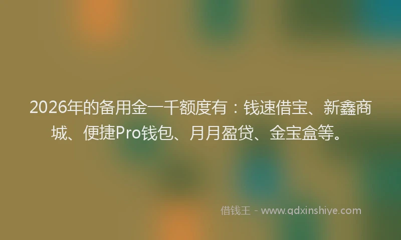 2026年的备用金一千额度有：钱速借宝、新鑫商城、便捷Pro钱包、月月盈贷、金宝盒等。