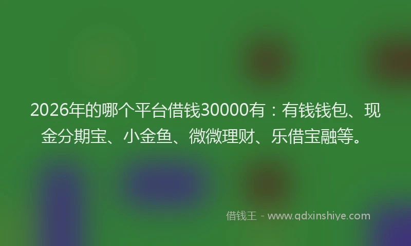 2026年的哪个平台借钱30000有:有钱钱包、现金分期宝、小金鱼、微微理财、乐借宝融等。