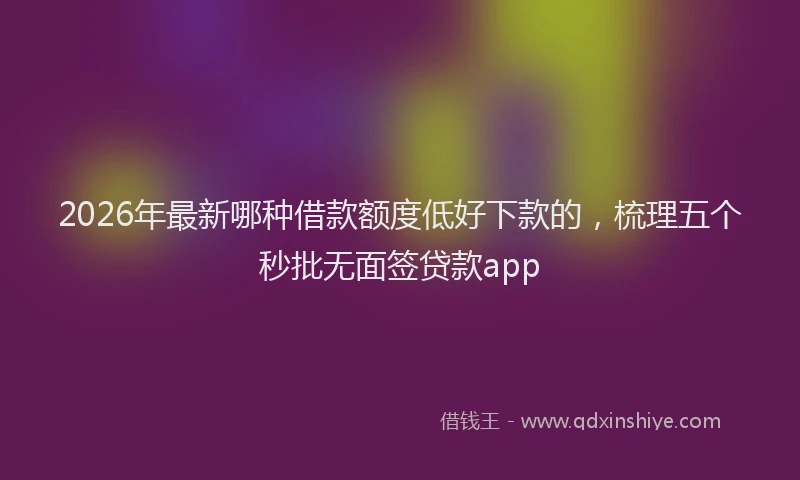 2026年最新哪种借款额度低好下款的,梳理五个秒批无面签贷款app