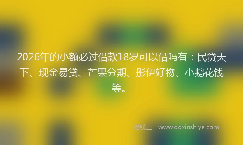 2026年的小额必过借款18岁可以借吗有：民贷天下、现金易贷、芒果分期、彤伊好物、小鹅花钱等。