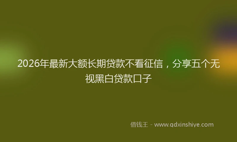 2026年最新大额长期贷款不看征信,分享五个无视黑白贷款口子
