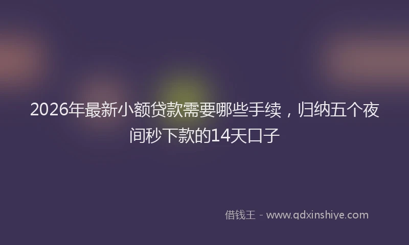 2026年最新小额贷款需要哪些手续，归纳五个夜间秒下款的14天口子