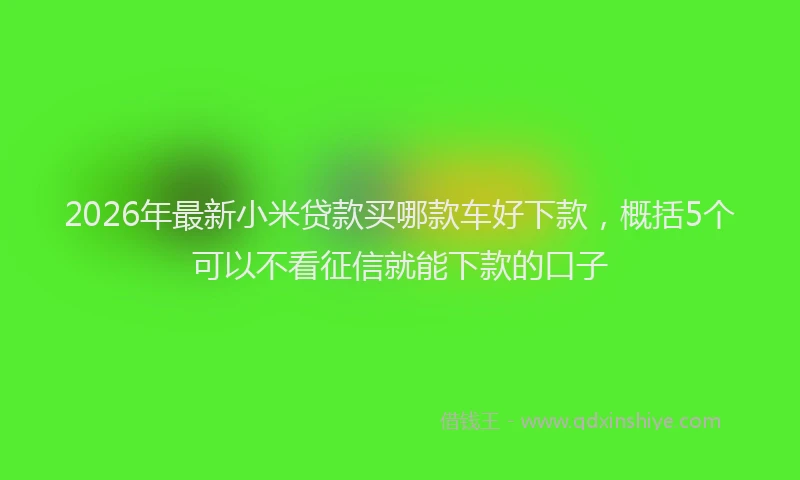 2026年最新小米贷款买哪款车好下款，概括5个可以不看征信就能下款的口子