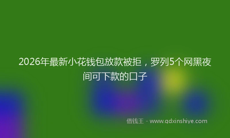 2026年最新小花钱包放款被拒，罗列5个网黑夜间可下款的口子