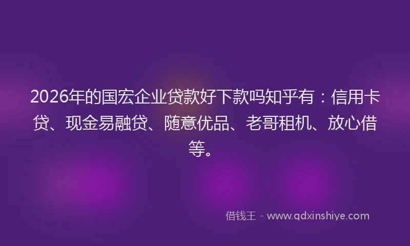 2026年的国宏企业贷款好下款吗知乎有:信用卡贷、现金易融贷、随意优品、老哥租机、放心借等。