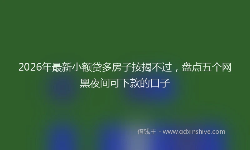 2026年最新小额贷多房子按揭不过，盘点五个网黑夜间可下款的口子