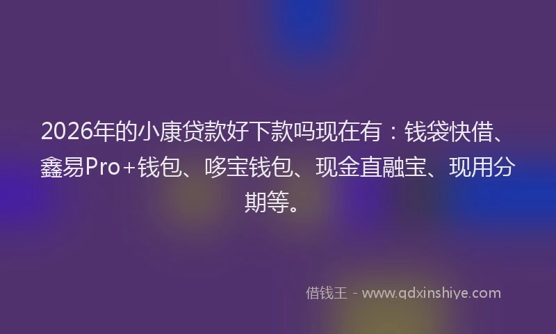 2026年的小康贷款好下款吗现在有：钱袋快借、鑫易Pro+钱包、哆宝钱包、现金直融宝、现用分期等。