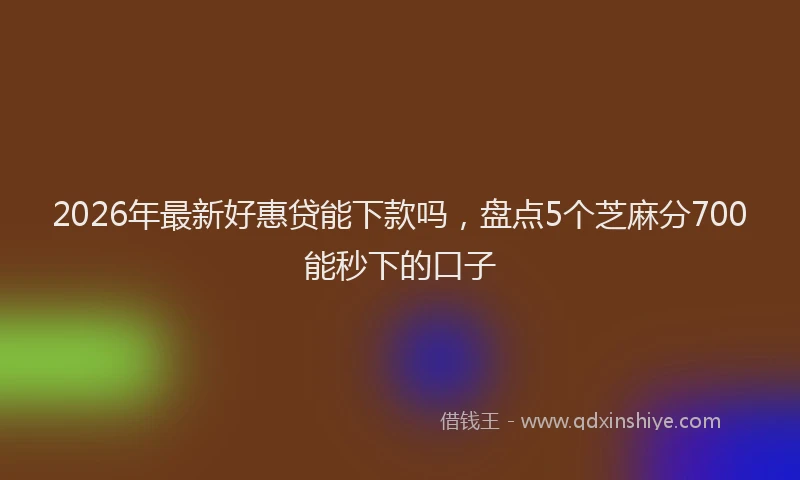 2026年最新好惠贷能下款吗，盘点5个芝麻分700能秒下的口子