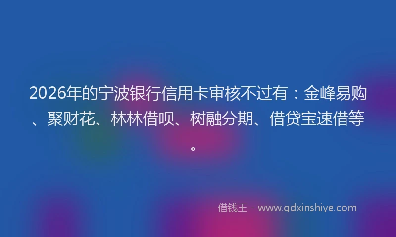 2026年的宁波银行信用卡审核不过有：金峰易购、聚财花、林林借呗、树融分期、借贷宝速借等。