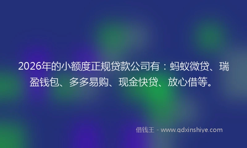 2026年的小额度正规贷款公司有：蚂蚁微贷、瑞盈钱包、多多易购、现金快贷、放心借等。