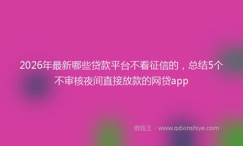 2026年最新哪些贷款平台不看征信的,总结5个不审核夜间直接放款的网贷app