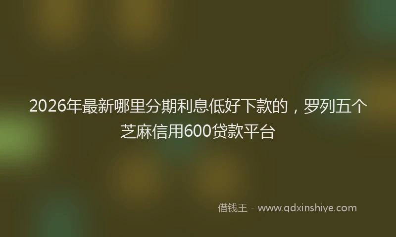 2026年最新哪里分期利息低好下款的,罗列五个芝麻信用600贷款平台