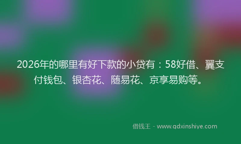 2026年的哪里有好下款的小贷有：58好借、翼支付钱包、银杏花、随易花、京享易购等。