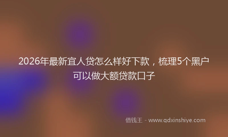 2026年最新宜人贷怎么样好下款，梳理5个黑户可以做大额贷款口子