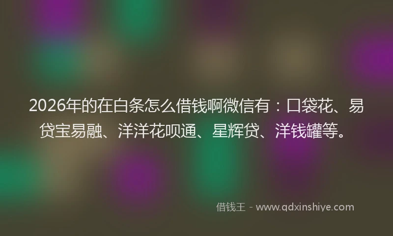 2026年的在白条怎么借钱啊微信有:口袋花、易贷宝易融、洋洋花呗通、星辉贷、洋钱罐等。
