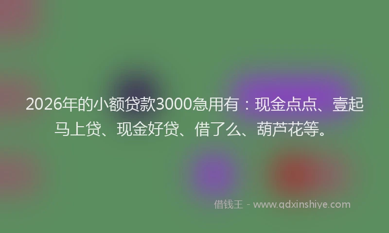 2026年的小额贷款3000急用有：现金点点、壹起马上贷、现金好贷、借了么、葫芦花等。