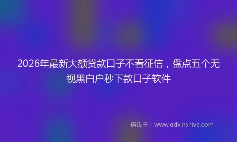 2026年最新大额贷款口子不看征信，盘点五个无视黑白户秒下款口子软件