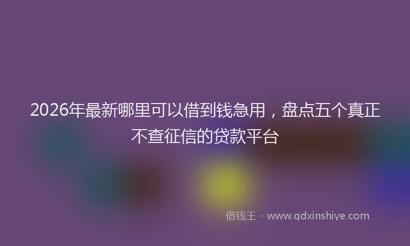 2026年最新哪里可以借到钱急用，盘点五个真正不查征信的贷款平台
