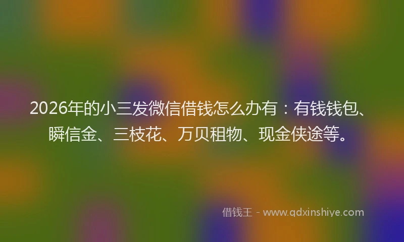 2026年的小三发微信借钱怎么办有：有钱钱包、瞬信金、三枝花、万贝租物、现金侠途等。