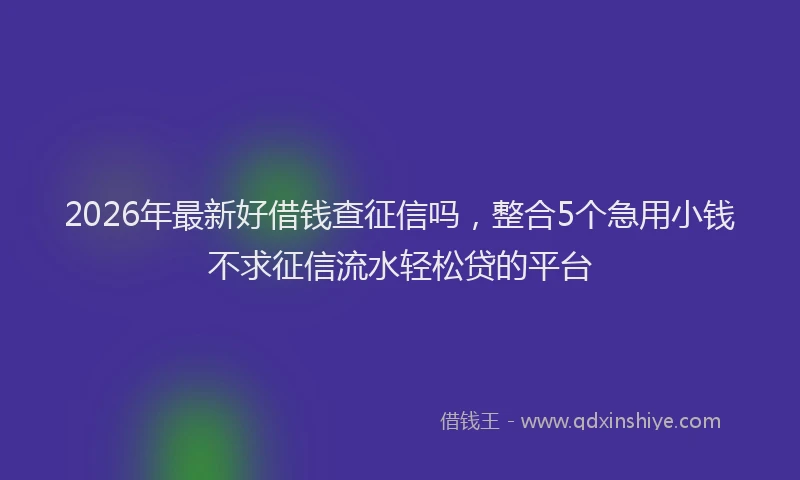 2026年最新好借钱查征信吗，整合5个急用小钱不求征信流水轻松贷的平台