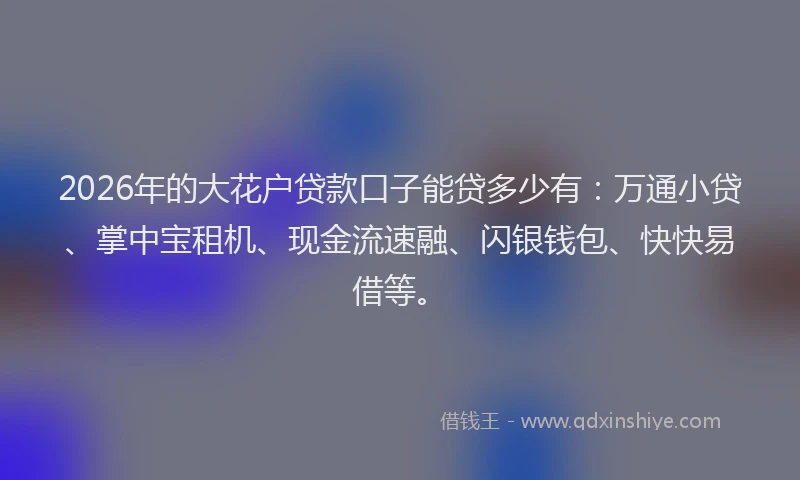 2026年的大花户贷款口子能贷多少有：万通小贷、掌中宝租机、现金流速融、闪银钱包、快快易借等。