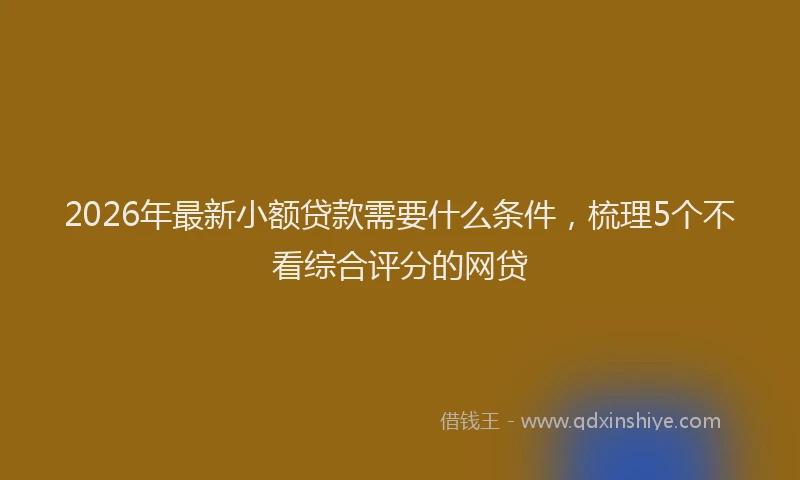 2026年最新小额贷款需要什么条件，梳理5个不看综合评分的网贷