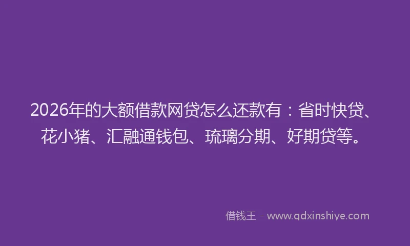 2026年的大额借款网贷怎么还款有：省时快贷、花小猪、汇融通钱包、琉璃分期、好期贷等。