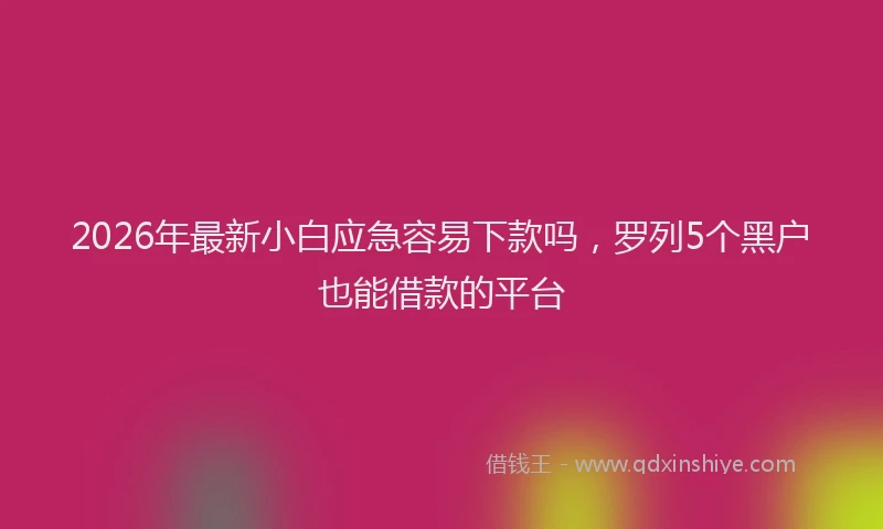 2026年最新小白应急容易下款吗，罗列5个黑户也能借款的平台