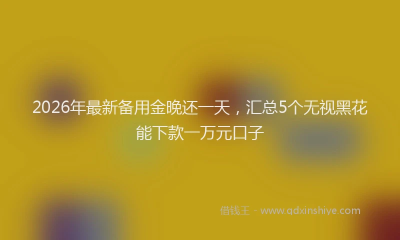 2026年最新备用金晚还一天，汇总5个无视黑花能下款一万元口子
